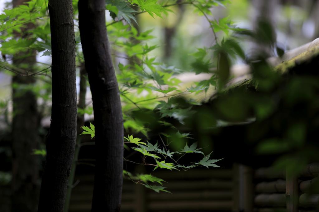 Yufuin Souan Kosumosu Hotel Buitenkant foto